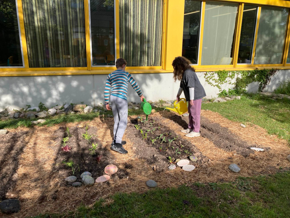 Frühling am Gemüse-Acker